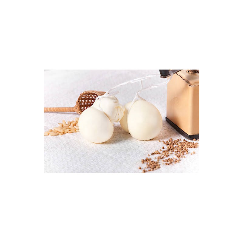 SCAMORZA APPASSITE BIANCHE CAMPITELLO MATESE 1 KG CIRCA