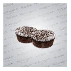 SRG CAPRESINA CIOCCOLATO 40X90 GR