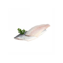 FILETTI DI  BRANZINO 120/160 1X5 KG