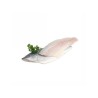 FILETTI DI  BRANZINO 120/160 1X5 KG