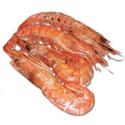 GAMBERI ARGENTINI  L1 10/20 BORDO  2 KG