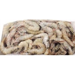 MAZZANCOLLA TROPICALE INTERA 60/70 LASTRA 2 KG