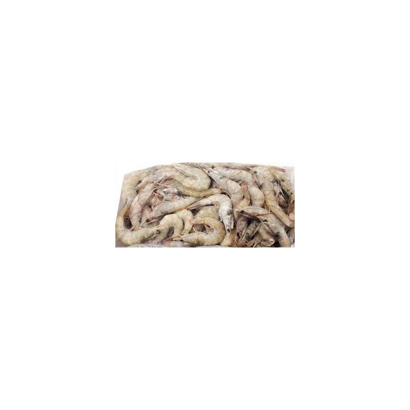 MAZZANCOLLA TROPICALE INTERA 60/70 LASTRA 2 KG