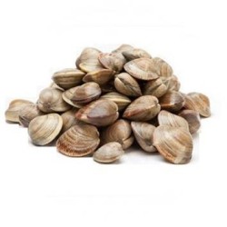 VONGOLE CON GUSCIO MARRONE 60/80 1 KG