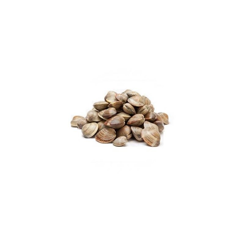 VONGOLE CON GUSCIO MARRONE 60/80 1 KG