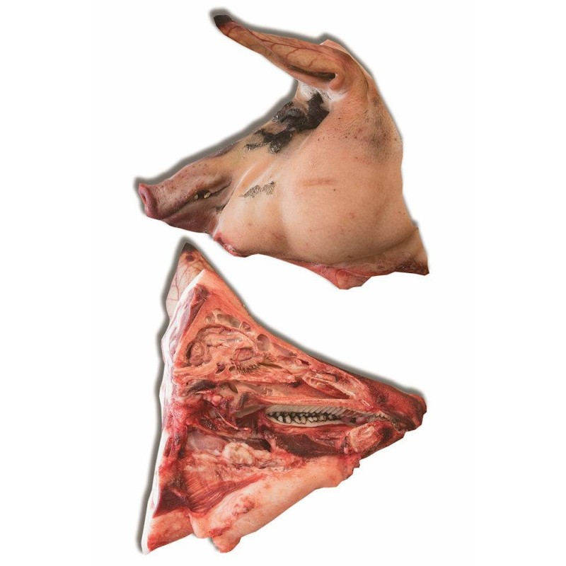 SUINO GUANCIA FRESCA  5 KG CIRCA