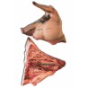SUINO GUANCIA FRESCA  5 KG CIRCA